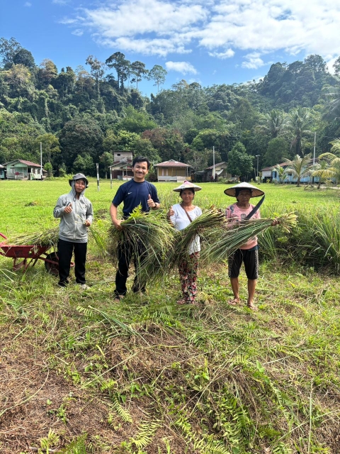 Pengambilan Daun Serai Untuk di Suling