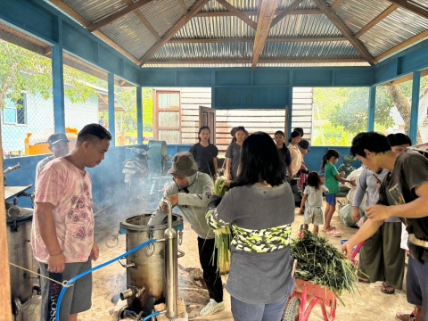 Proses Penyulingan Daun Serai