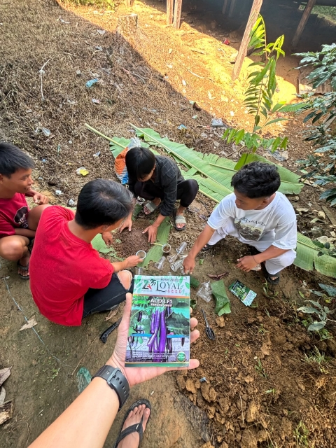 proses penanaman bibit terong dan tomat
