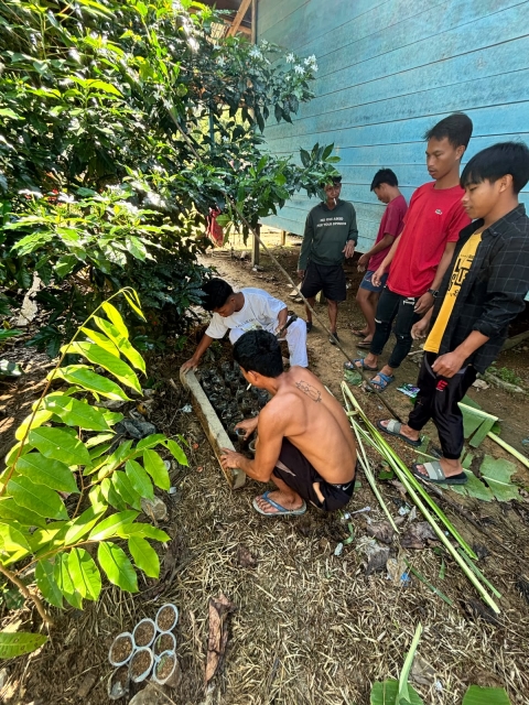 proses penanaman bibit terong dan tomat