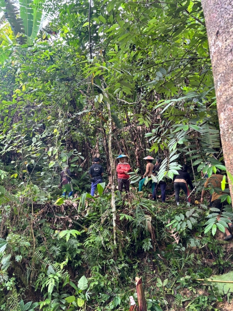 Menebas Ladang